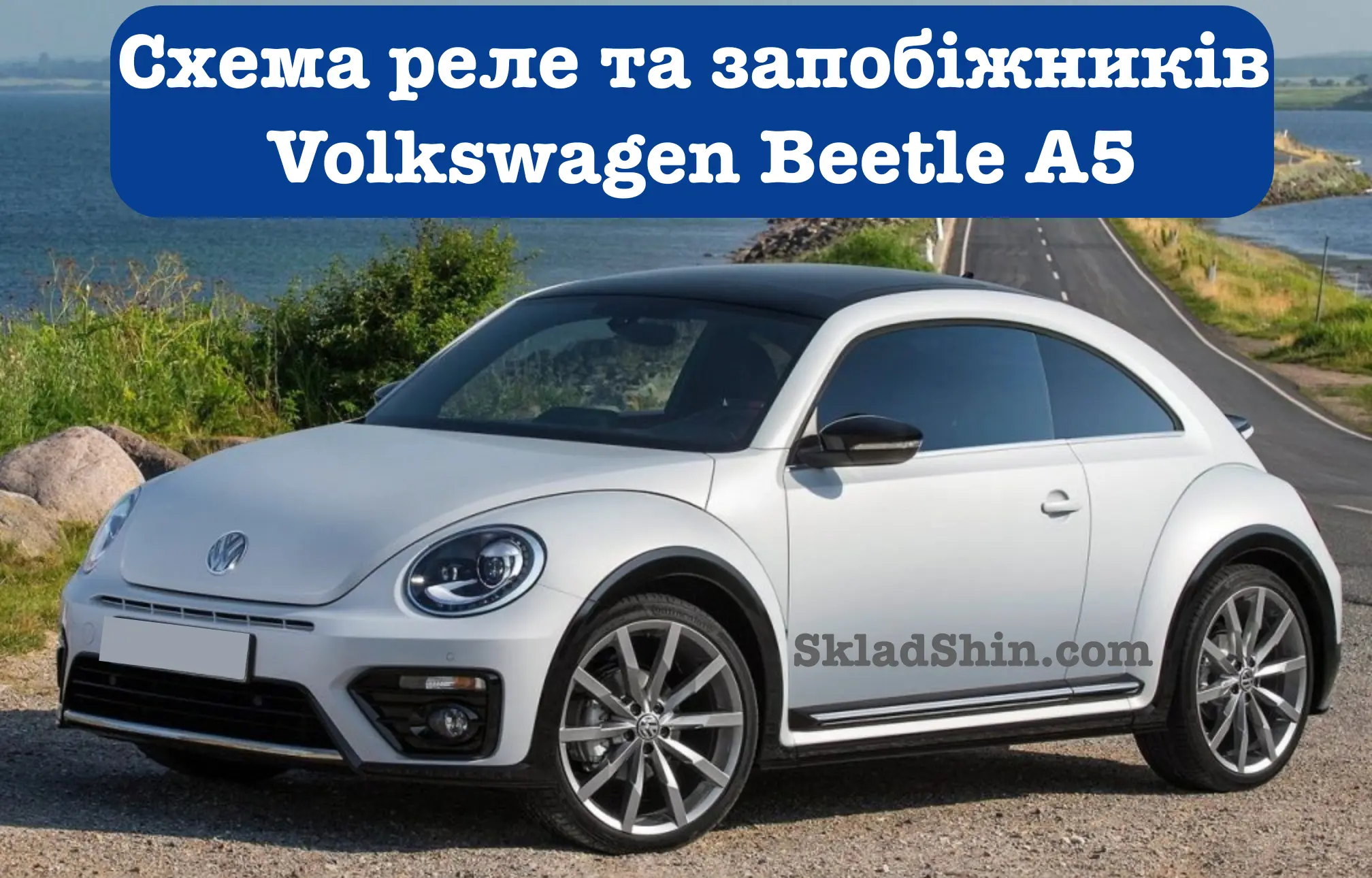 shema rele ta zapobizhnikiv volkswagen beetle a5