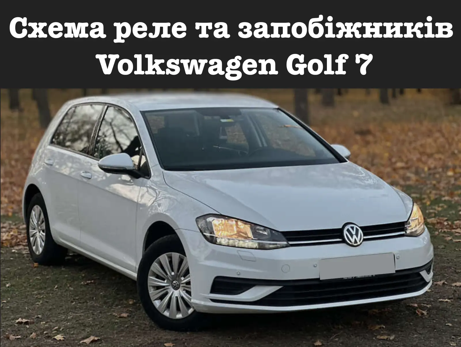 shema rele ta zapobizhnikiv volkswagen golf 7